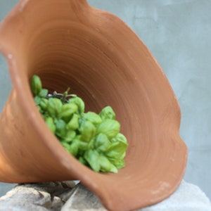 Terracotta Amphora Planter, Natural Clay Pot for Flowers or Herbs, Garden, Patio Back Yard Decoration