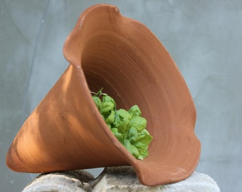 Terracotta Amphora Planter, Natural Clay Pot for Flowers or Herbs, Garden, Patio Back Yard Decoration