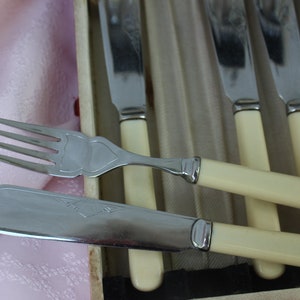 Vintage Fish Cutlery set in Box Stainless Serving Set for 6 Persons Forks and Knives