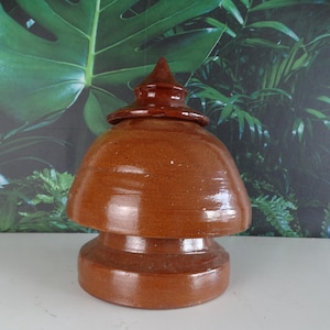 May include: A brown ceramic jar with a lid. The jar has a rounded body and a pedestal base. The lid is conical and sits atop the jar. The jar is a warm brown colour and appears to be glazed. The background features green foliage.