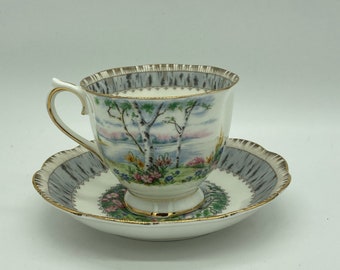 Royal Albert Silver Birch. Vintage cup and saucer.