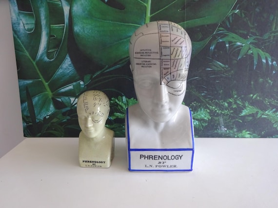 Lebber vintage® - Phrenology head | XL | L.N. Fowler | Medical study, London