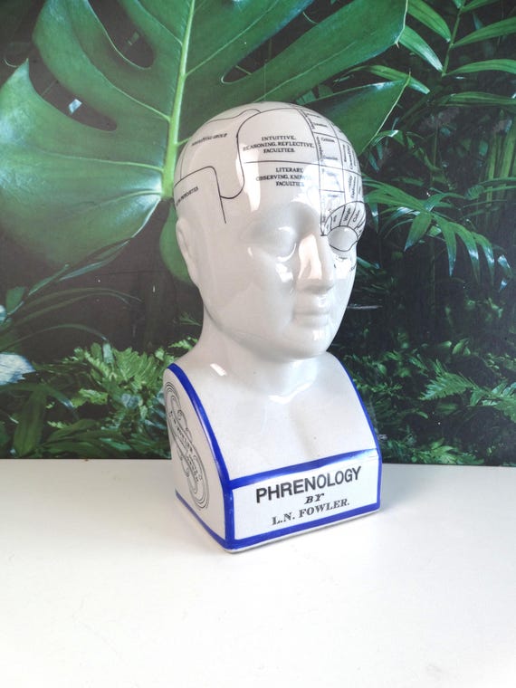 Lebber vintage® - Phrenology head | XL | L.N. Fowler | Medical study, London. 32 cm high.