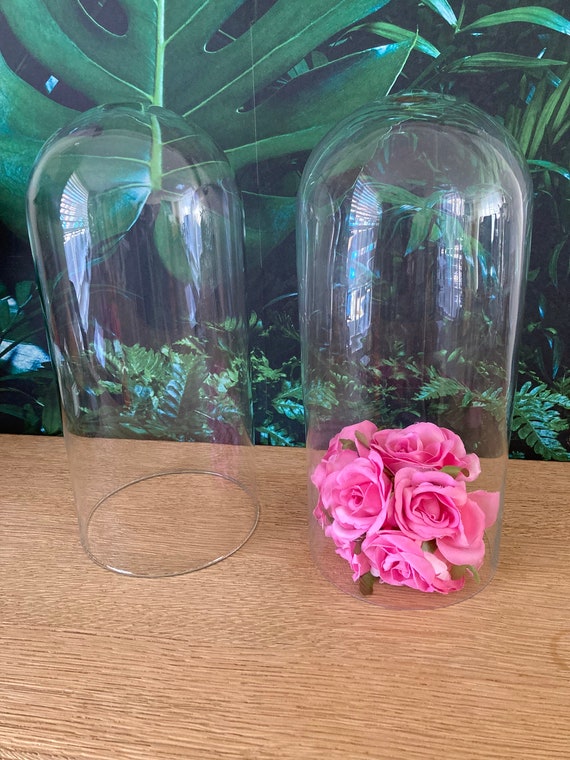 Lebber vintage - Bell jar glass mouth blown, hand made with blemishes. Handmade Clear Circular Glass Display Cloche Bell Jar Dome