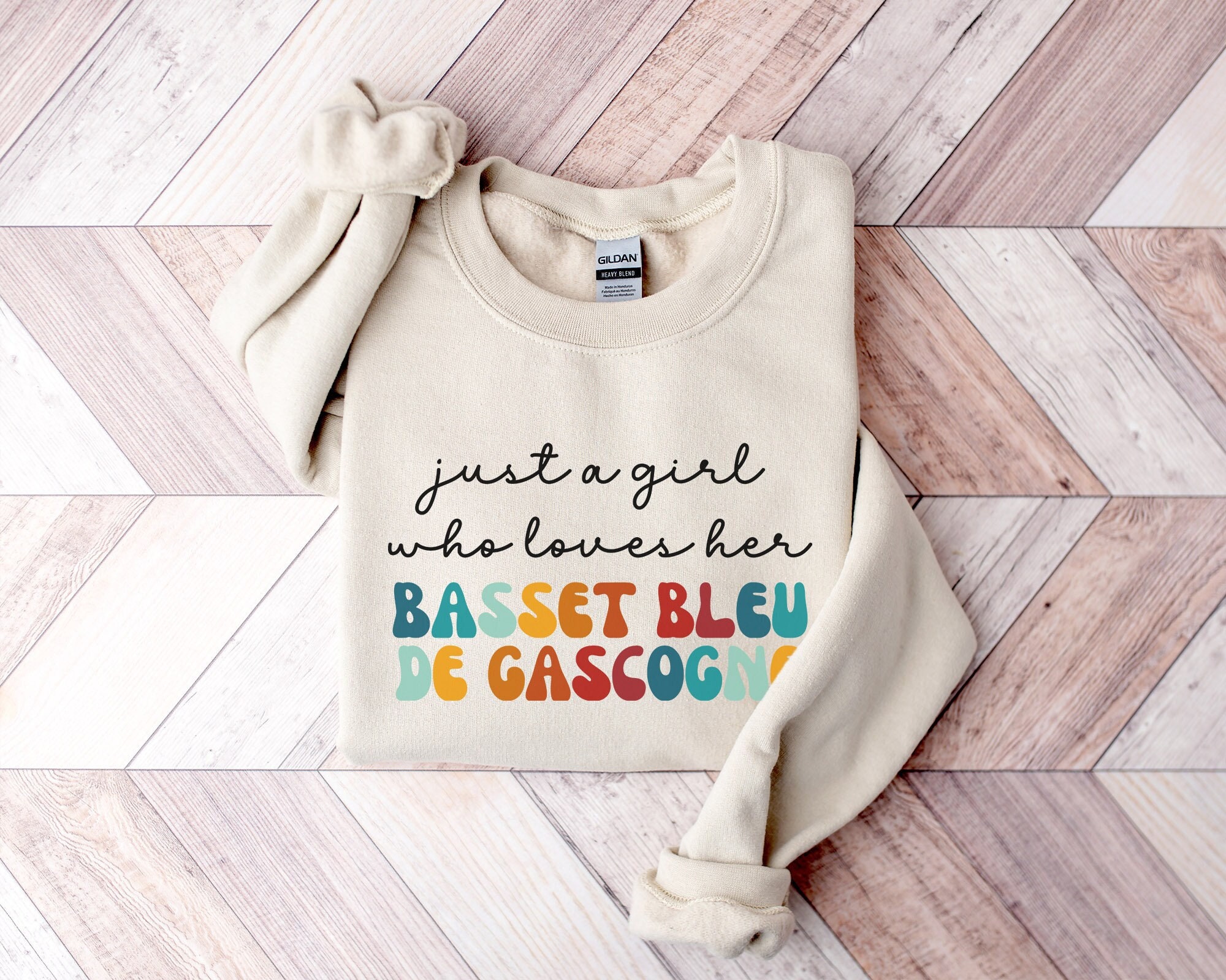 Basset Bleu De Gascogne Dog Retro Sweatshirt Gift for Girl or Woman, Funny Dog Sweater - Bleu De Gascogne Dog Owner Sweatshirt for Pet Lover