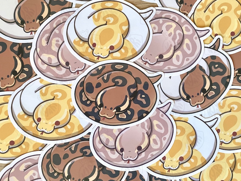 Puede incluir: Una colecci&oacute;n de pegatinas de serpientes coloridas. Las pegatinas presentan varias mutaciones de pit&oacute;n bola en tonos de marr&oacute;n, beige, amarillo y blanco. Cada serpiente est&aacute; enroscada, con un dise&ntilde;o lindo y de dibujos animados.