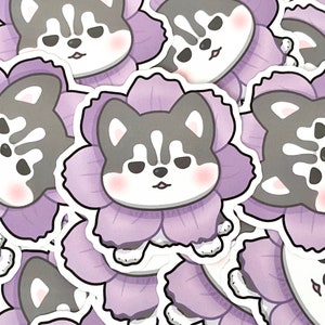 Stickers Cosmos Husky, Sticker chien mignon
