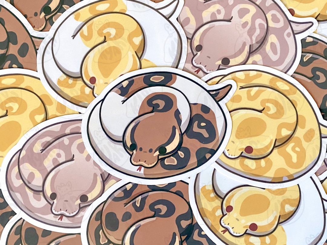 Cute Ball Python Stickers, Ball Python Morphs - Etsy