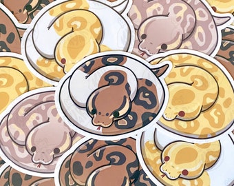 Cute Ball Python Stickers, Ball Python Morphs