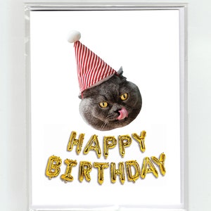 British Shorthair Cat & Balloons Happy Birthday Greeting Card Party Hat Cute Funny