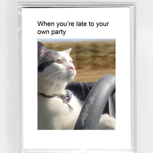 Conduciendo Gato Meme Tarjeta De Feliz Cumpleaños Fiesta De Broma Divertida Viral