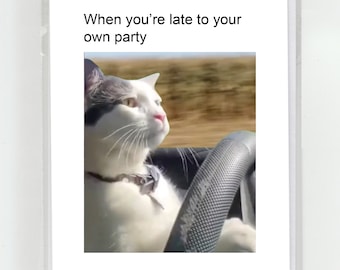 Conduciendo Gato Meme Tarjeta De Feliz Cumpleaños Fiesta De Broma Divertida Viral