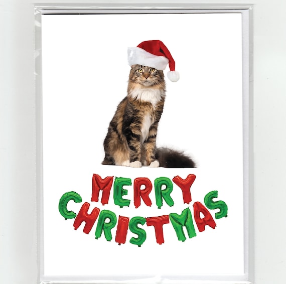 Maine Coon Katze Frohe Weihnachten Grußkarte Katzen lustige - Etsy.de