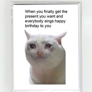 Gatto che piange Meme Biglietto di buon compleanno Scherzo divertente virale