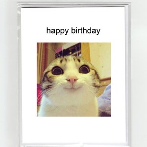 Gatto sorridente Meme Biglietto di buon compleanno Virale Scherzo divertente Pippo eccentrico giocoso