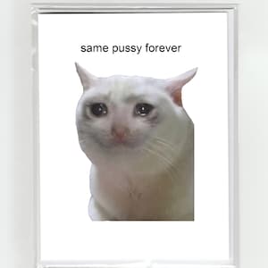 Pleurer chat mème même chatte pour toujours amour joyeuse Saint Valentin carte de voeux, chats drôle illustration dessin mignon amour Valentine