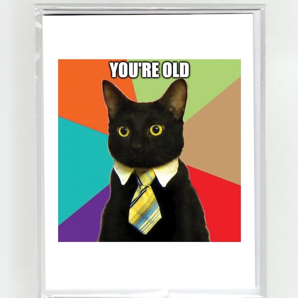 Business Cat Meme Happy Birthday You're Old Card Viral Funny Joke Goofy Quirky Playful Vintage Millennial Boomer