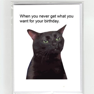 Biglietto di auguri di compleanno con meme di gatto zonato, scherzo divertente virale, sciocco, eccentrico e giocoso