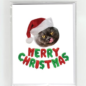 Gato de pelo curto britânico cinza Cartão de felicitações de feliz Natal Gatos Língua de gato engraçada Chapéu de Papai Noel Balões