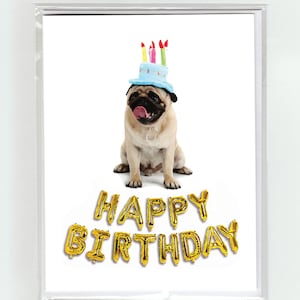 Pug & Balloons Happy Birthday Greeting Card, Dog, Dogs, Funny, Cute, Party Hat