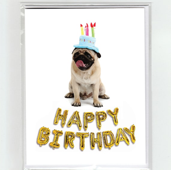 Mascotas Papá Tarjeta de cumpleaños desde el perro tarjeta de cumpleaños divertido de la tarjeta de perro gato Mascotas Papá Tarjeta de cumpleaños desde el perro tarjeta de cumpleaños divertido de la tarjeta de perro gato