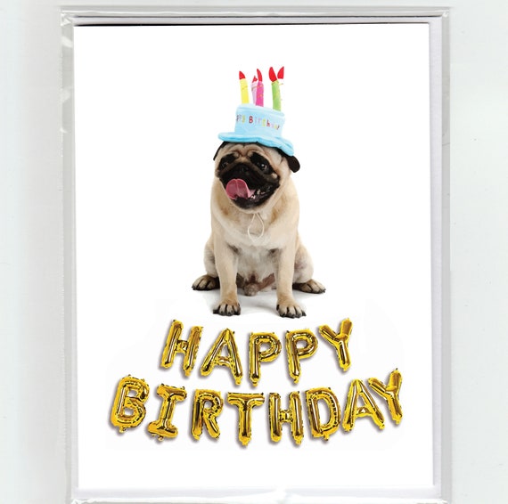 Discipline Schilderen Mogelijk Pug & ballonnen Happy Birthday wenskaart hond honden - Etsy België