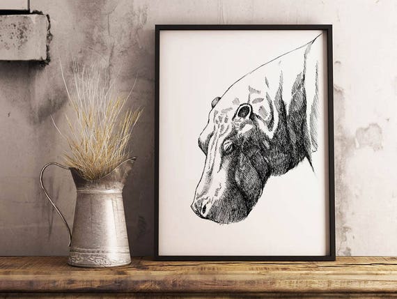 Hipopotam Ilustracja Hipopotam Print Hipopotam Sztuki Etsy