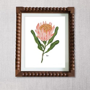 Pink Protea | Flower | Digital Prints | Downloadable Art | Digital Drawing | Art Print | Printable Wall Art | Florida | The Wildflower Press