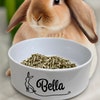 Child's Bunny Rabbit Bowl - Etsy