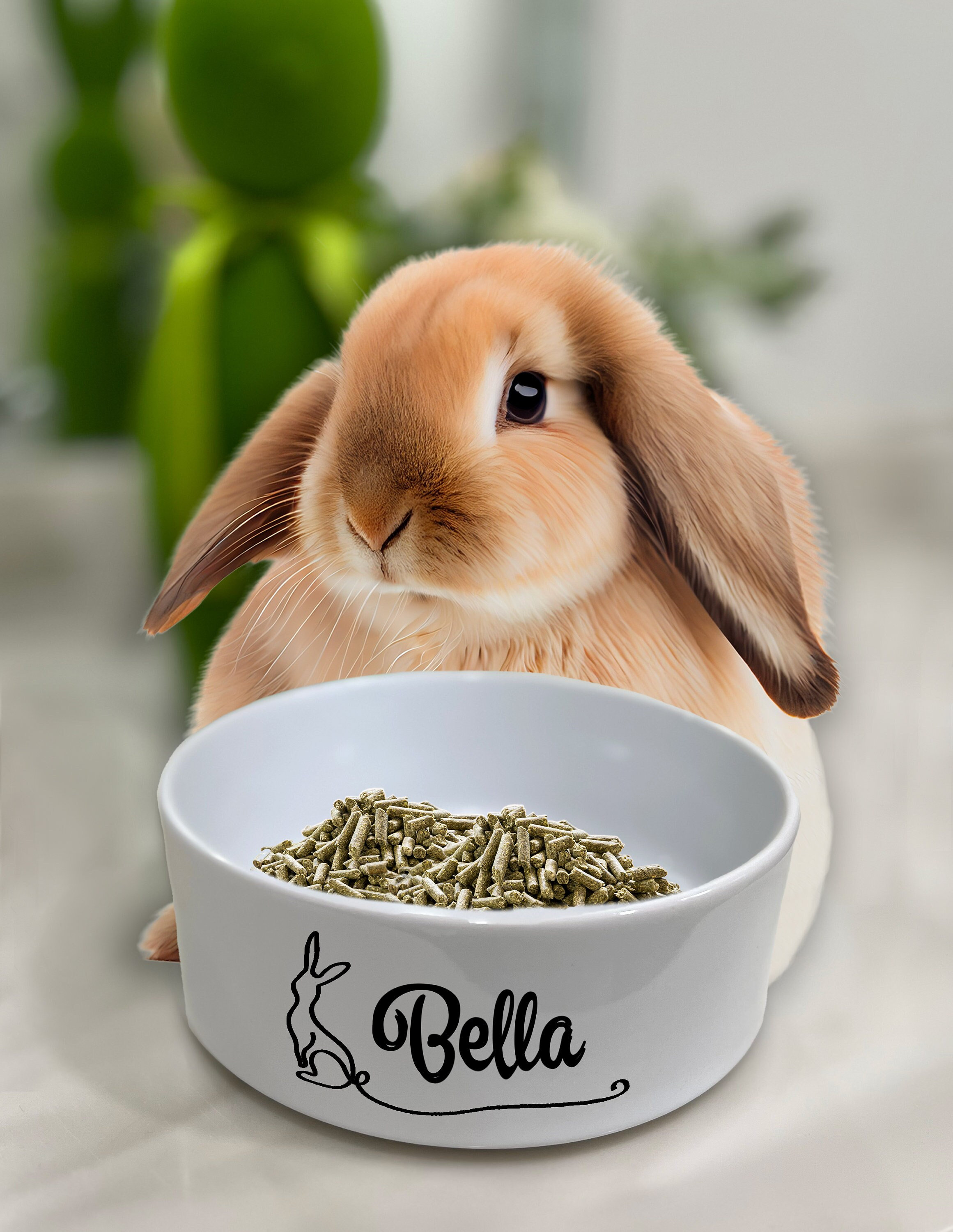 Personalized Stoneware Rabbit Food Bowl Heavy Crock Rabbit Bowl Pet Rabbit Bowl Custom Bunny Food Bowl With Name Water Bowl Pet Bowl Etsy