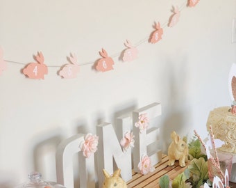 Some Bunny is One Monthly Photo Banner | Bunny Monthly Banner | First Year Photo Banner | Spring Birthday | Girl First Birthday Decoration