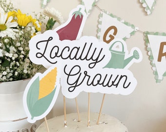 Farm Cake Topper | Farm Birthday Decor | Barn Cake | Barnyard Cake Topper | Farm Themed Cake | Farmers Market Decorations | Berry Sweet BDAY