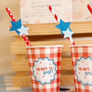 4th of July Party Straws | Red, White And Blue Independence Day Decor | Paper Straws | Baby Shower | Red, White And Two | Little Firecracker