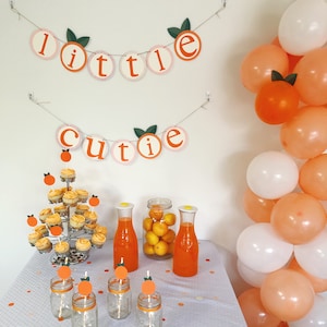 Baby Shower Kit | Baby Shower Set | Baby Shower Ideas | Neutral Baby Shower | Brunch Baby Shower | Simple Baby Shower | Shower Decoration