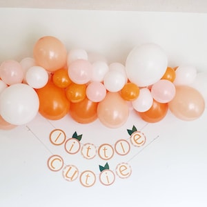 Little Cutie Balloon Garland A Little Cutie Is On The Way Baby Shower Decor Love is Sweet Bridal Shower It's Sweet To Be One First image 1