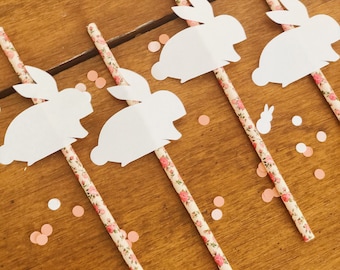 Bunny Straws | Bunny Paper Straws | Some Bunny is One Birthday | Bunny Birthday Party | Bunny Decor | Bunny Easter Decoration | Easter Decor