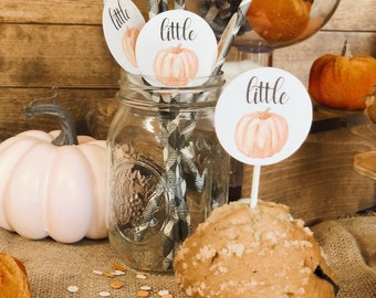 24 Glitzernde Kürbis-Cupcake-Topper In Rosa & Blau – Für Babyparty, Herbstfeiern, Aus Glitzerkarton