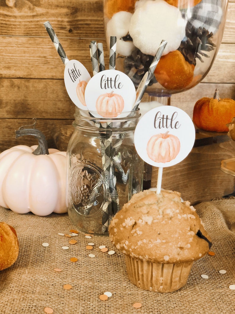 Little Pumpkin Cupcake Toppers Little Pumpkin Baby Shower Decorations Fall Baby Shower Decor Fall Themed Baby Shower Fall Baby image 4