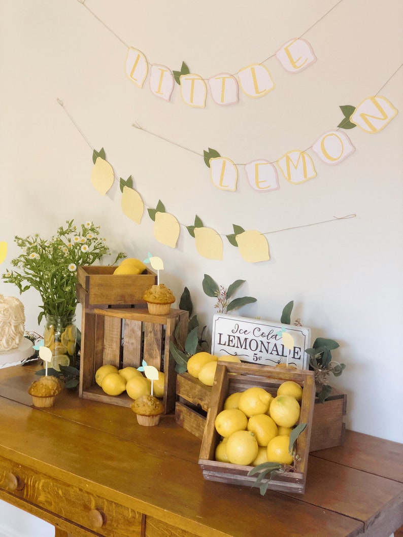 Lemon Baby Shower Decorations Banner Lemon Baby Shower Decor Etsy