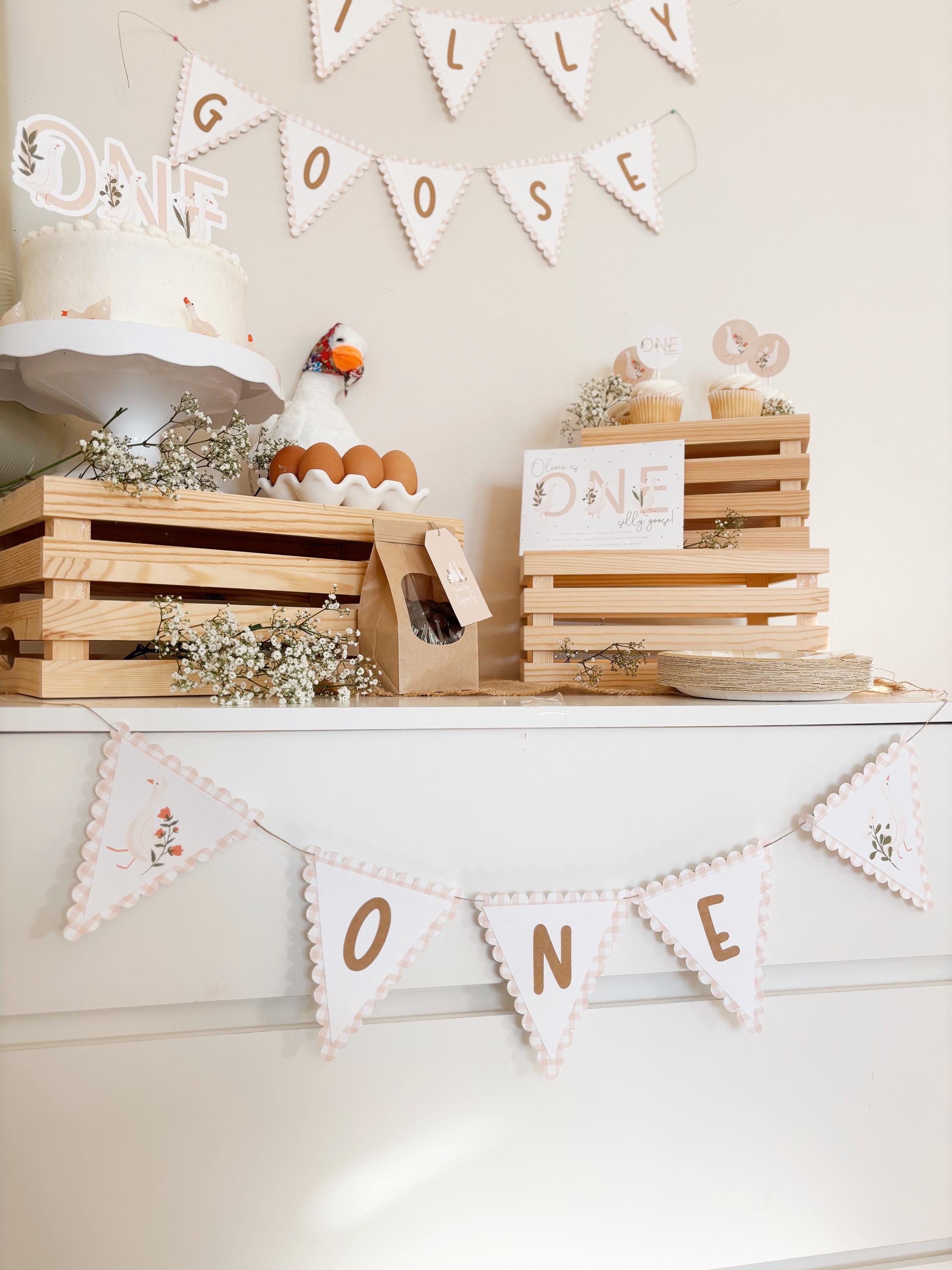 One Silly Goose High Chair Banner | Vintage Pink Gingham Geese Theme 1st Birthday Decorations for Girls | Pink Silly Goose Decoration