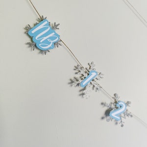 Snowflake Photo Banner Winter Onederland Photo Banner Winter Photo Clips 12 Month Photo Banner Winter Onederland Party Decorations image 4