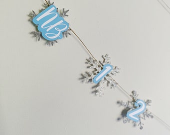 Snowflake Photo Banner | Winter Onederland Photo Banner | Winter Photo Clips | 12 Month Photo Banner | Winter Onederland Party Decorations