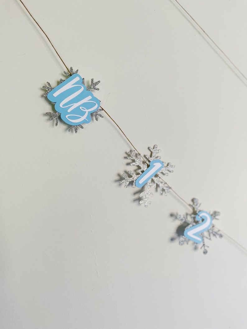 Snowflake Photo Banner Winter Onederland Photo Banner Winter Photo Clips 12 Month Photo Banner Winter Onederland Party Decorations image 4