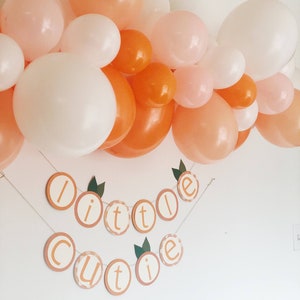 Little Cutie Balloon Garland A Little Cutie Is On The Way Baby Shower Decor Love is Sweet Bridal Shower It's Sweet To Be One First image 6