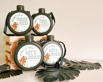 Può includere: Quattro borracce verde oliva con cinghie attaccate. Ogni borraccia ha un'etichetta circolare con una grafica di dinosauro e il testo "HENRY IS A THREE REX!", "HENRY IS A TWO REX!" e "HENRY IS FOUR LET'S ROAR!"