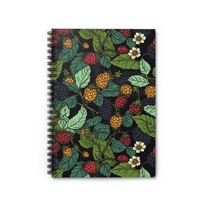 cloudberry - notebook