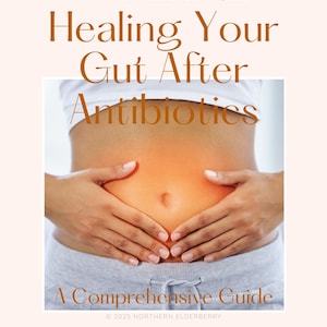 Healing Your Gut After Antibiotics: A Comprehensive Guide