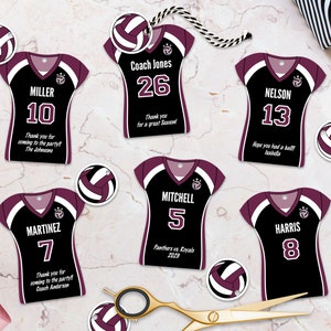 Editable Volleyball Party Favor Tags, Personalized Printable, Jersey Ball Templates, Team Birthday, Instant Download, 2 Sizes Included, DIY