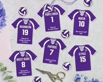 Editable Volleyball Team Party Favor Tags, personalized, Jersey Shaped Printable Tag, Team Birthday, Instant Download, 2 Sizes Included, DIY