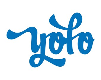 Calcomanía de vinilo YOLO, 8" x 5", divertida calcomanía para ventana de auto con jerga, "Solo se vive una vez"